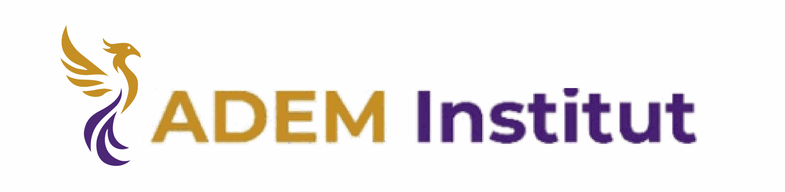 ADEM Institut